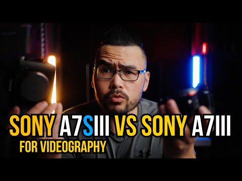 Sony a7SIII vs Sony a7III for Video #sonya7siii #sonya7III