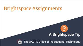 Brightspace Assignments