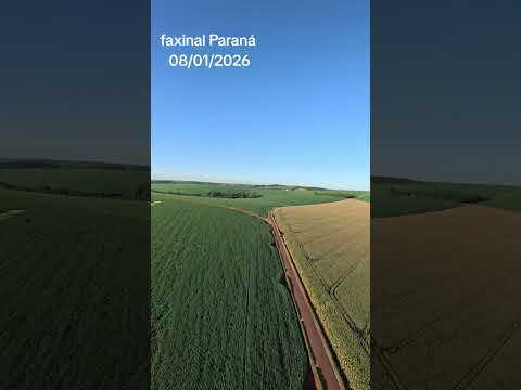 Faxinal Paraná 08/01/2026