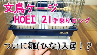 【文鳥】新しい文鳥の為にHOEI手乗りケージ組み立て【おすすめ】