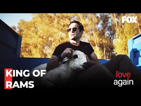 Fatih's Adventure Of Cathing A Ram - Love Again Episode 63