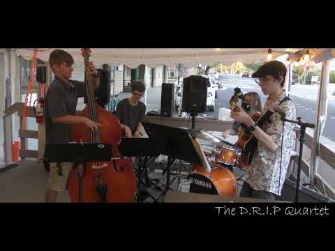 Caravan - the D.R.I.P. Quartet at the Fig Tree