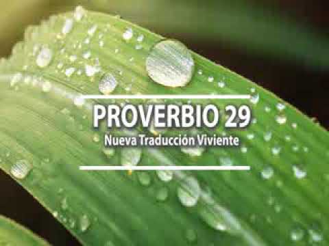 Proverbio del día 29 - Biblia Hablada // AudioBiblia - NVI