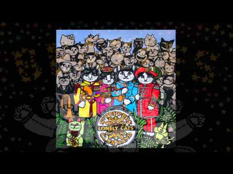 download lagu mp3 mp4 Cat Beatles, download lagu Cat Beatles gratis, unduh video klip Cat Beatles