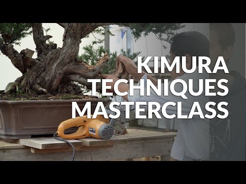 Kimura Techniques Masterclass - Trailer