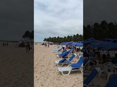 #praia do Gunga município Roteiro Alagoas Brasil