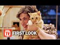 Call Me Kat Season 1 First Look Rotten Tomatoes TV