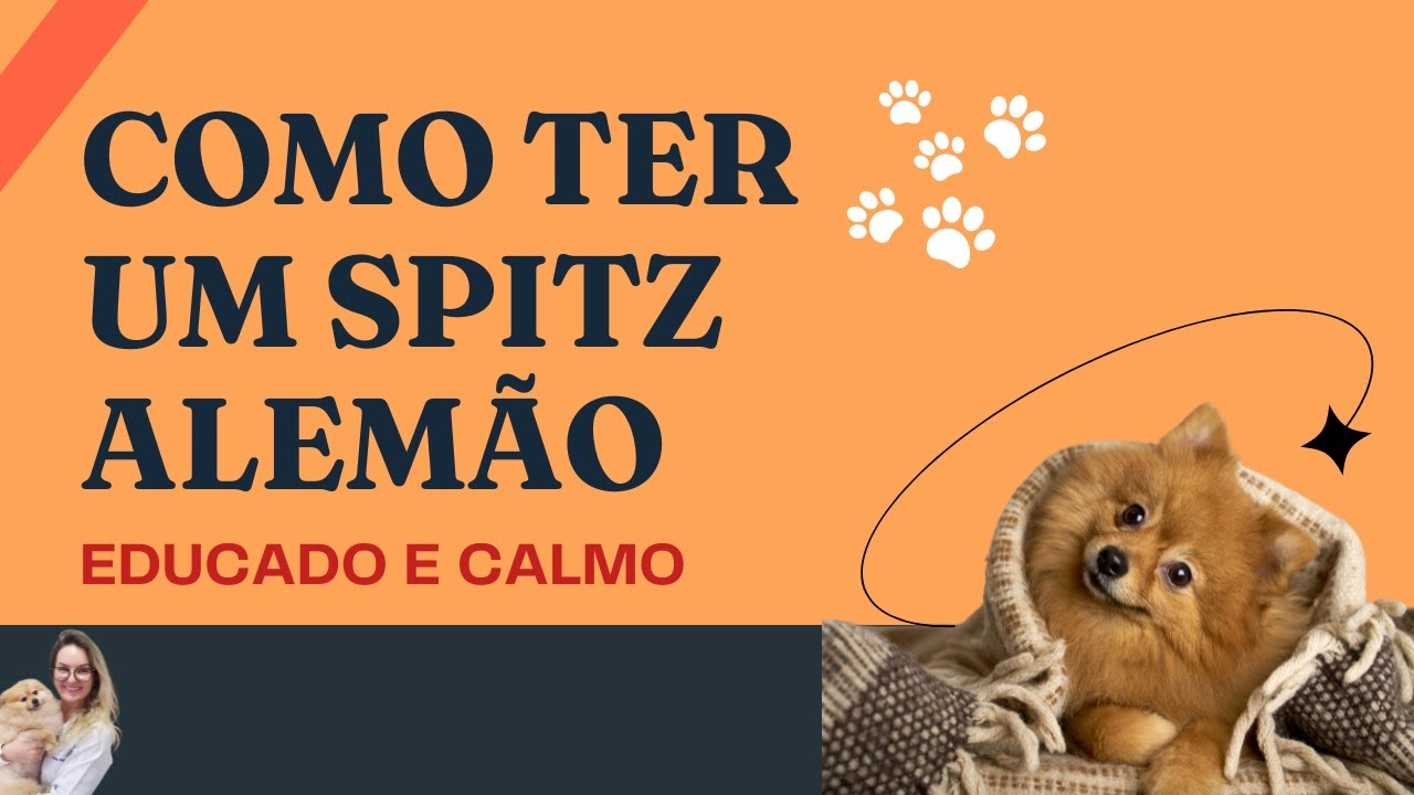 Como ter um Spitz mais calmo e equilibrado | Ações diárias