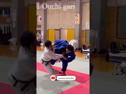 大内刈り！刈り足が抜けない！見事な崩し！#柔道 #乱取稽古 #柔のたまり場