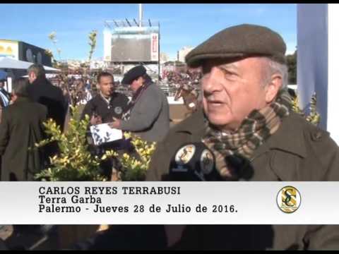 28-07-16 RESERVADO GRAN CAMPEON MACHO HEREFORD - NOTA CARLOS REYES TERRABUSI - PALERMO 2016.