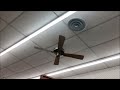 Random Ceiling Fan Sightings
