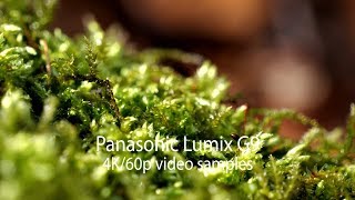 Panasonic Lumix DC-G9