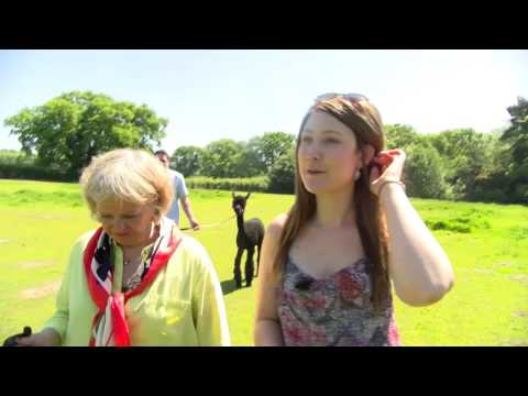 From Mustard with Love with ABC Taxis - Laura Hughes