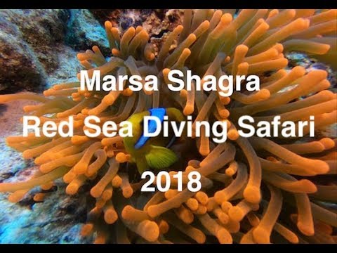 Marsa Shagra May 2018