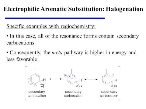 Electrophilic Aromatic Substitution: Halogenation