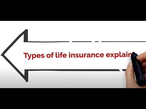 Videos from Insuranceopedia