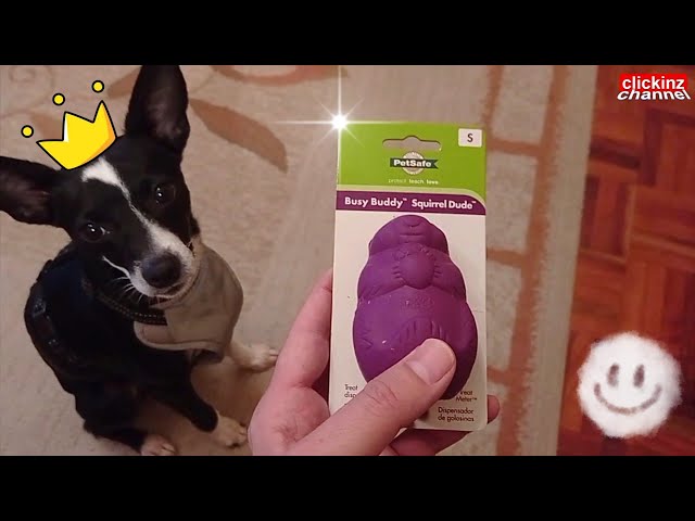 Vídeo relacionado con Bully Grip Soporte para Palos de Juguete Interactivo para Perros, comedero Lento, dispensador de golosinas y Dispositivo de Seguridad para Perros