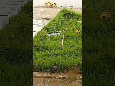 chuva forte em Guajeru-BA #avee_player