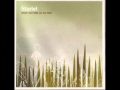 Starlet - Malmo