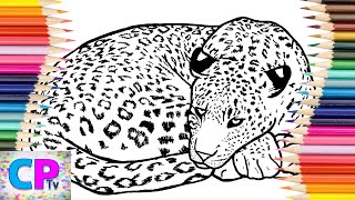Leopard Coloring Pages,How to Color Wild Animals,Drawing of The Leopard,Coloring Pages Tv