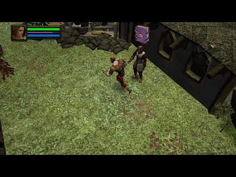 Dungeon Siege: Throne of Agony (PSP)