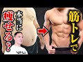 【筋トレ】筋肉をつけると痩せやすい体になる?筋肉は脂肪燃焼に効果的なのか解明しました