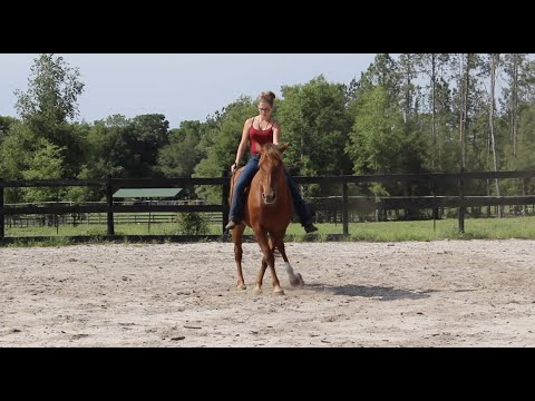 Liberty Riding | American Competitive Mustang Club