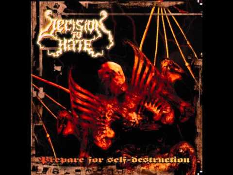 Decision To Hate - Useless Life