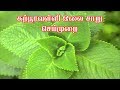 கற்பூரவள்ளி இலை சாறு செய்முறை health benefits of karpuravalli leaf jeya s tasty recipes