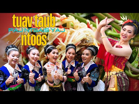 Tuav taub ntoos | cover by Paj Ntsais Yaj | new version
