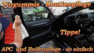 Routinepflege der Türgummis - Reinigen und Schützen im Sommer - Es geht so einfach!