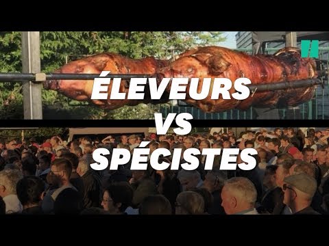 Face-à-face tendu entre militants pour la cause animale et éleveurs partout en France