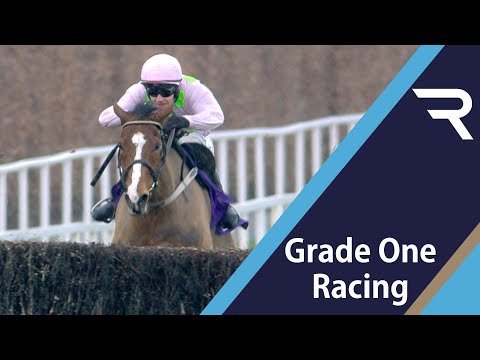 LISTEN TO THE NOISE! Faugheen brings the house down in the 2020 Flogas Novice Chase at Leopardstown