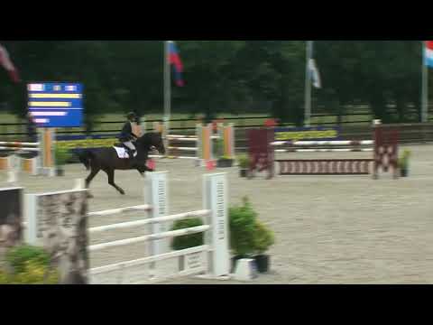 Calgary vd haterbeek Z (Cornet Obolensky x Artemisia de kreisker) Z festival 5j 2019