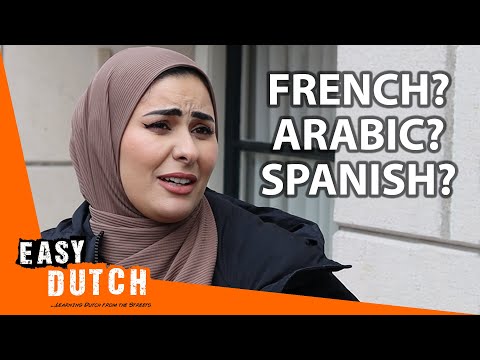 Which Languages Do the Dutch Speak? | Easy Dutch 56