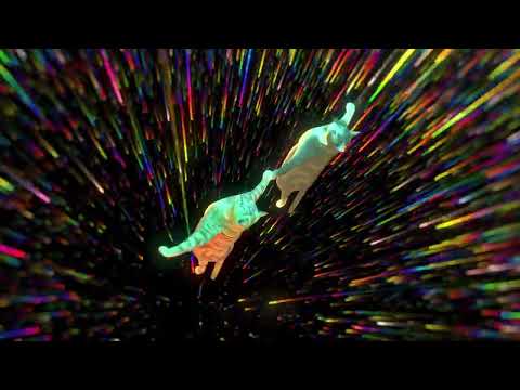 [4K Ultra HDR] Voicians - Holding On To You (UON Visuals Flying Cats Pt. 3)