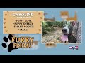 Furry Friday Meet Caroline