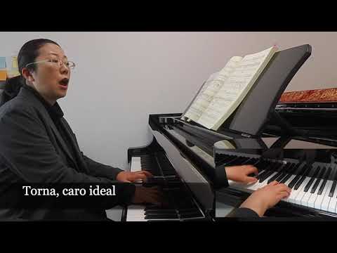 Tosti : Ideale with melody & lyrics