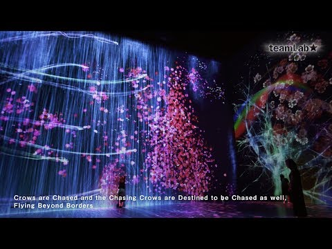 teamLab : Au-delà des limites / Transcending Boundaries
