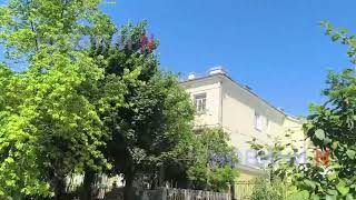 У центрі Миколаєва зарості чортополоху цвітуть пишним цвітом: «Миколаївські парки» не вживають жодних заходів