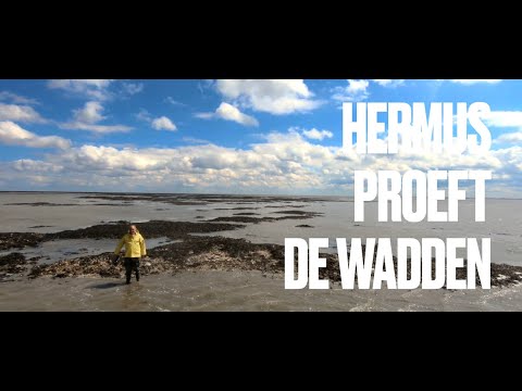 Hermus proeft de Wadden - afl. 2 Vlielander bier