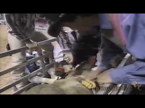 Adriano Moraes - Campeão Mundial Da PBR 1994.