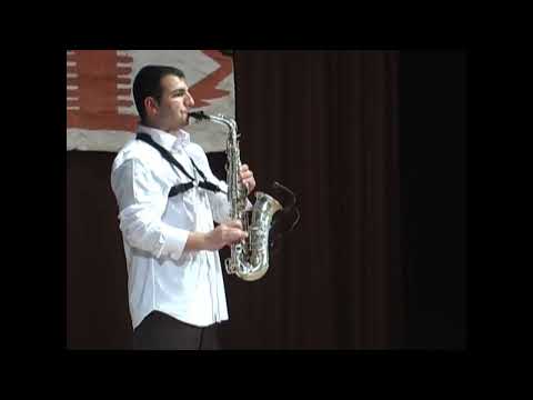 Saša Caranović Sax - Festival vlaške muzike 2010.