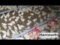 5 Bedroom Farm For Sale In Zeerust North West South Africa For ZAR 6 955 000