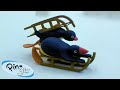 Sledding With Pingu Pingu Official Channel Cartoons For Kids