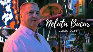 Download lagu Neluta Bucur | Cel Mai Frumos Colaj de Sarbe si Hore 2024 | Neluta Bucur [LIVE 2024] mp3