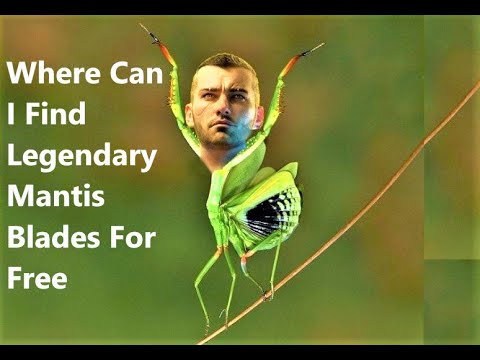 Cyberpunk 2077 - Where Can I Find Legendary Mantis Blades For Free