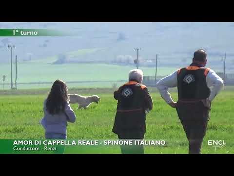 ALTAMURA PRIMAVERA 2022 - DERBY CONTINENTALI - BATTERIA 1 CONTINENTALI ITALIANI