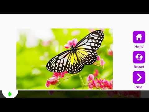 Tile Puzzle Butterflies Video