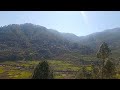 Kaone Disha Me Leke Chala Re Batohiya WhatsApp Status Video 2022 Ll Mr BiSHT Ji Ll